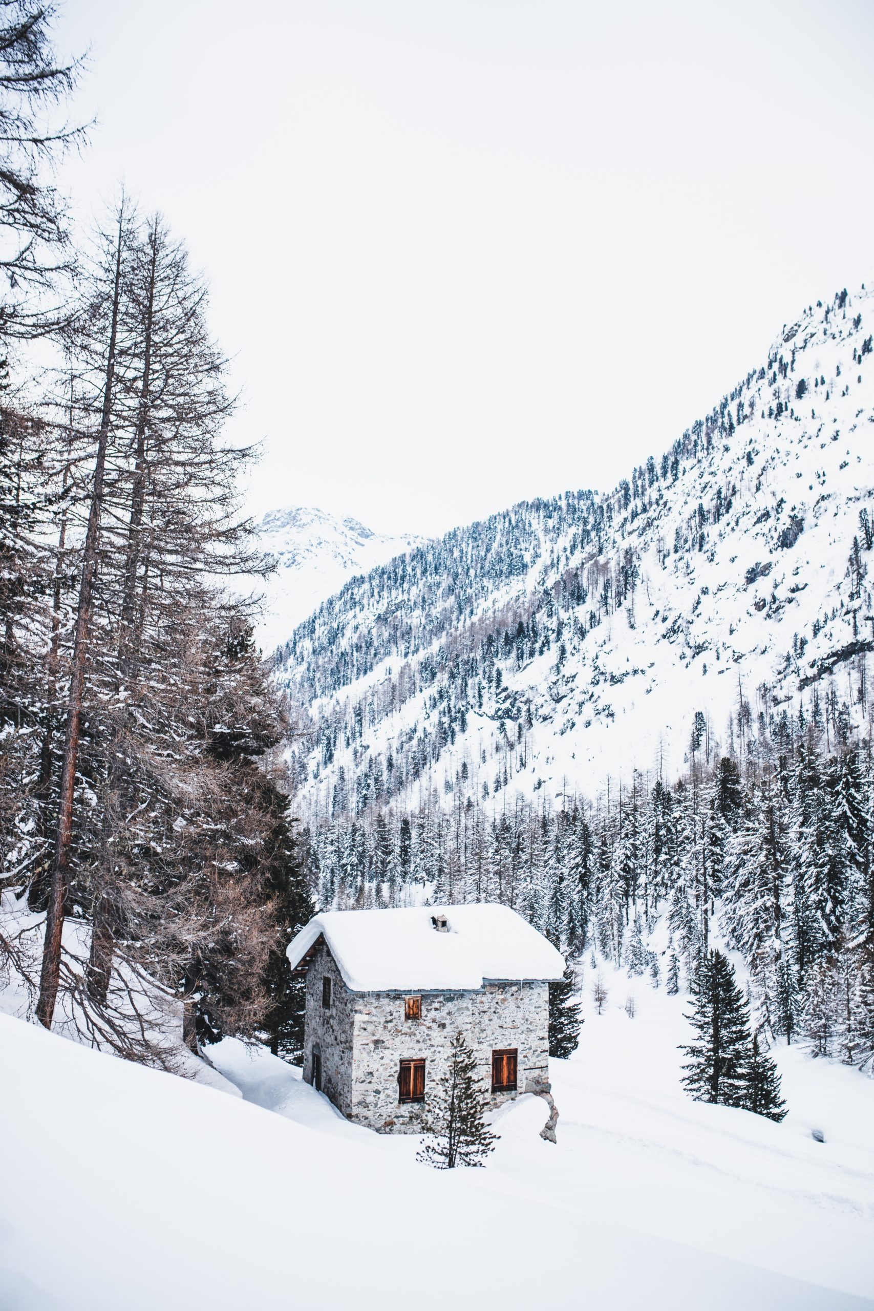 snow covered house near trees and mountain during daytime